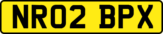 NR02BPX