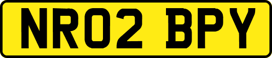 NR02BPY