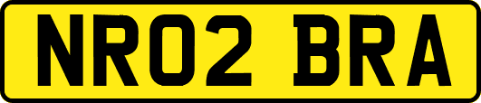 NR02BRA