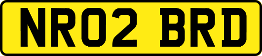 NR02BRD