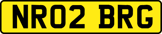 NR02BRG