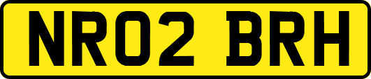NR02BRH