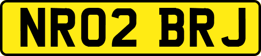NR02BRJ