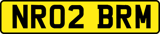NR02BRM