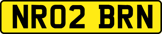 NR02BRN