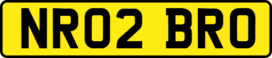 NR02BRO