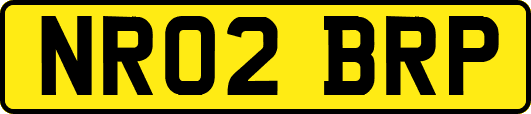 NR02BRP