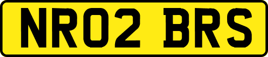 NR02BRS