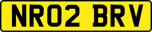 NR02BRV