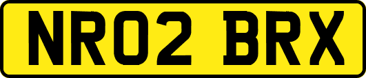 NR02BRX