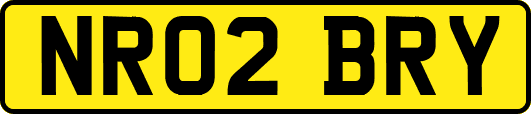 NR02BRY