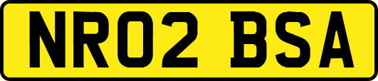 NR02BSA