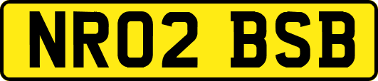 NR02BSB