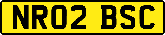 NR02BSC
