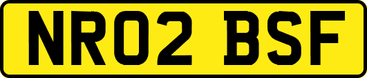 NR02BSF