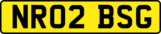 NR02BSG