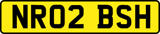 NR02BSH