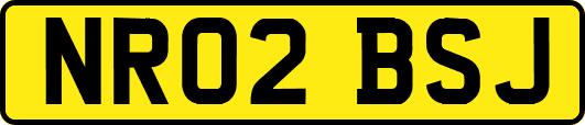 NR02BSJ