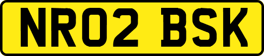 NR02BSK