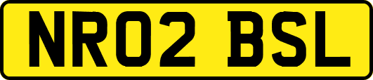 NR02BSL