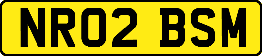 NR02BSM