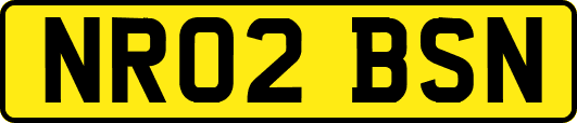 NR02BSN