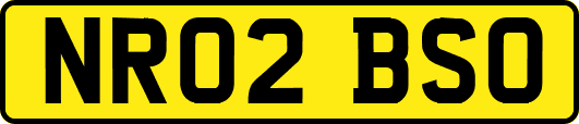 NR02BSO