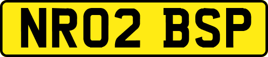 NR02BSP