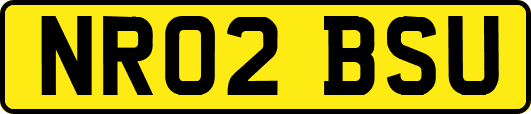 NR02BSU