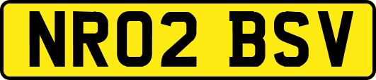 NR02BSV