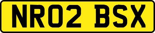 NR02BSX