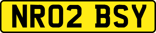 NR02BSY