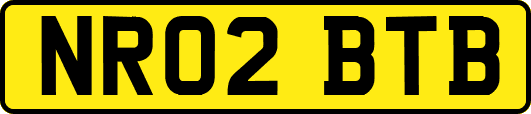 NR02BTB
