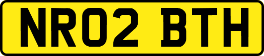 NR02BTH