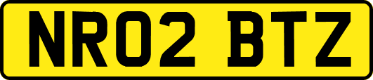 NR02BTZ