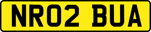NR02BUA