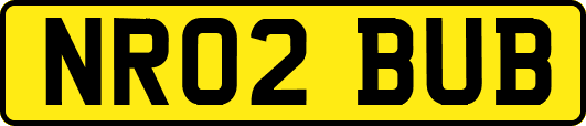 NR02BUB