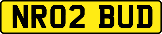 NR02BUD