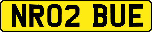 NR02BUE