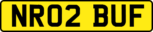 NR02BUF