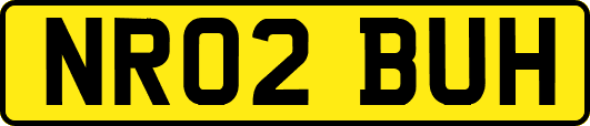 NR02BUH