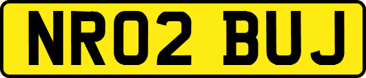 NR02BUJ