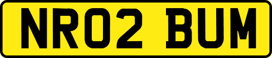 NR02BUM