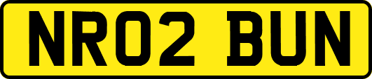 NR02BUN