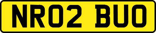 NR02BUO