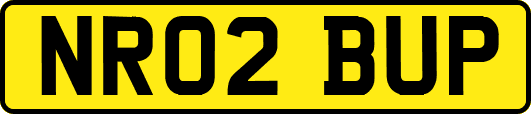 NR02BUP