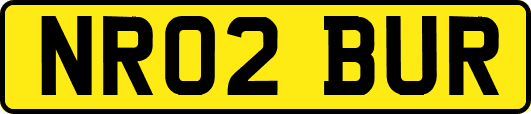 NR02BUR