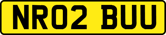 NR02BUU