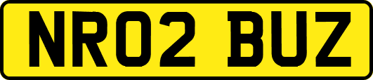 NR02BUZ