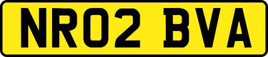 NR02BVA